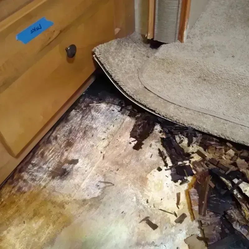 Wood Floor Water Damage in Carrollwood, FL